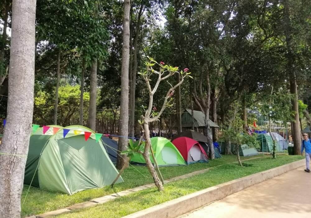 Cắm trại Đảo Ó, Đồng Trường