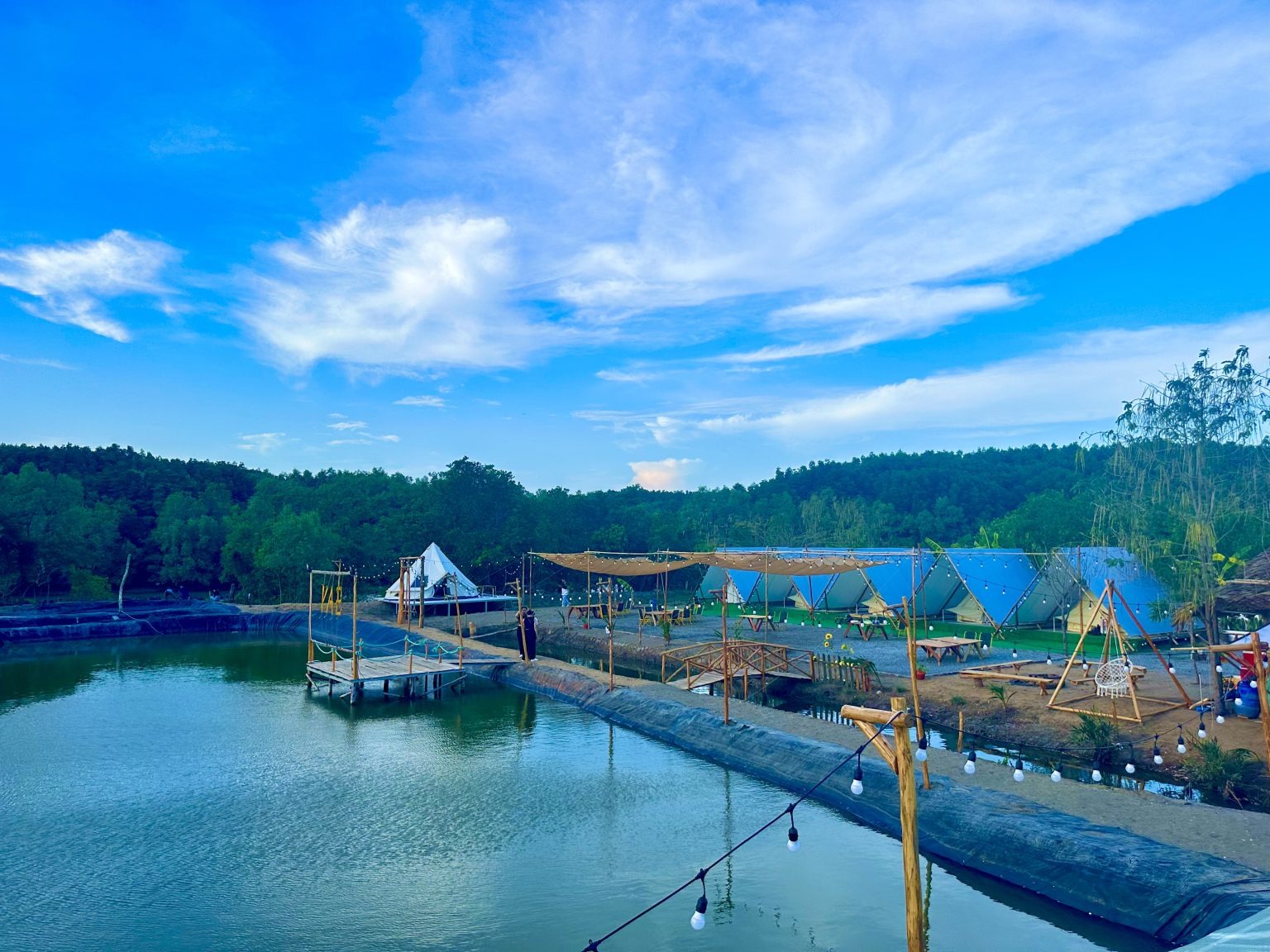 SAY Camp Forest