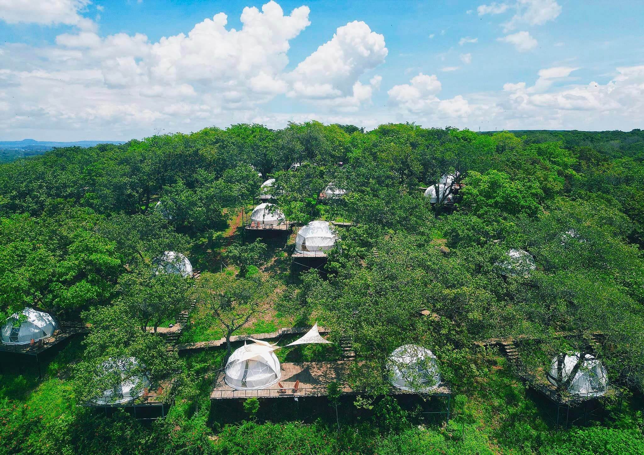 Tropical Glamping